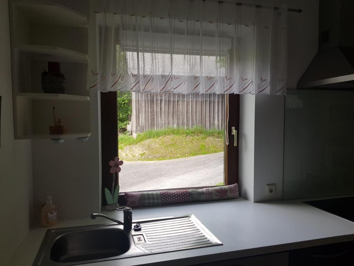Appartement Muehlebnerhof Ramsau am Dachstein Zewnętrze zdjęcie
