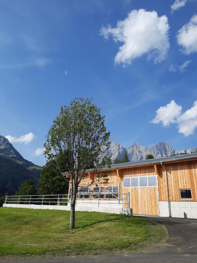 Appartement Muehlebnerhof Ramsau am Dachstein Zewnętrze zdjęcie