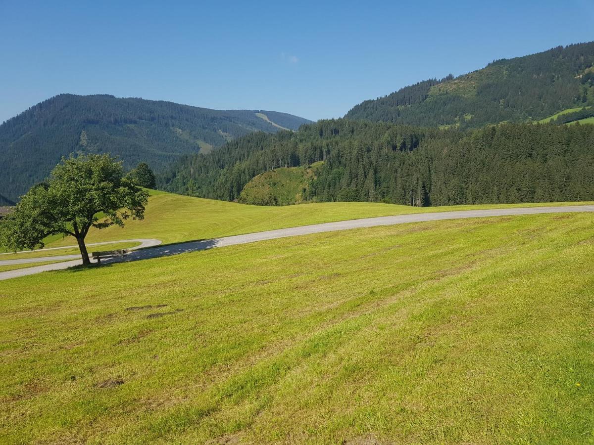 Appartement Muehlebnerhof Ramsau am Dachstein Zewnętrze zdjęcie