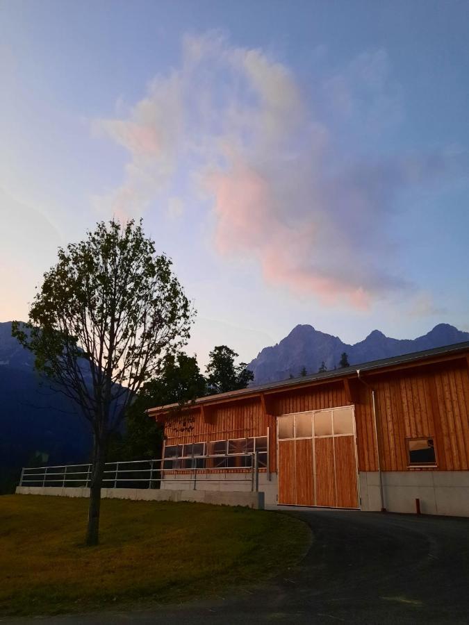 Appartement Muehlebnerhof Ramsau am Dachstein Zewnętrze zdjęcie