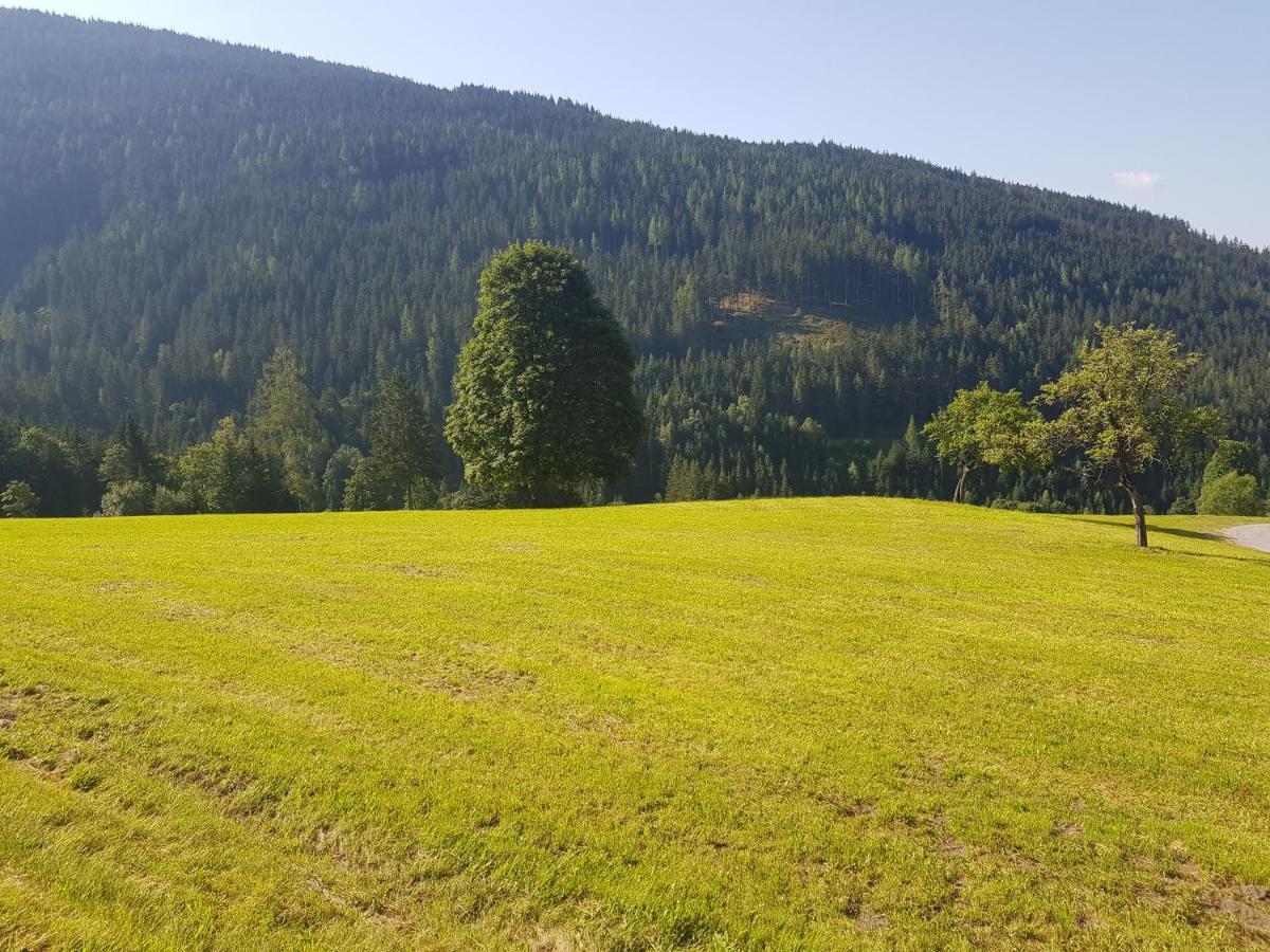 Appartement Muehlebnerhof Ramsau am Dachstein Zewnętrze zdjęcie