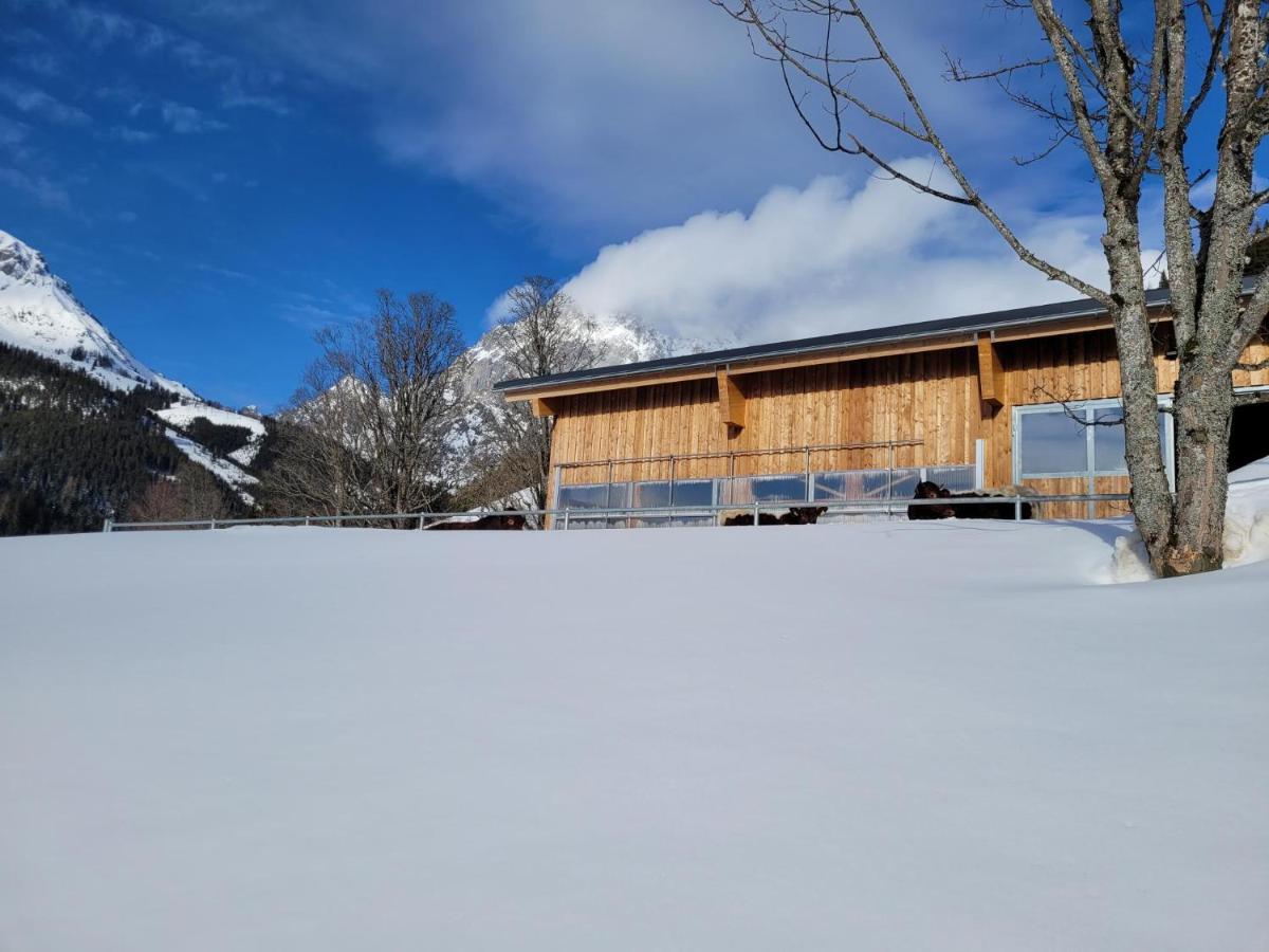 Appartement Muehlebnerhof Ramsau am Dachstein Zewnętrze zdjęcie