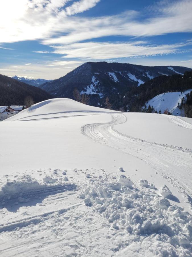 Appartement Muehlebnerhof Ramsau am Dachstein Zewnętrze zdjęcie
